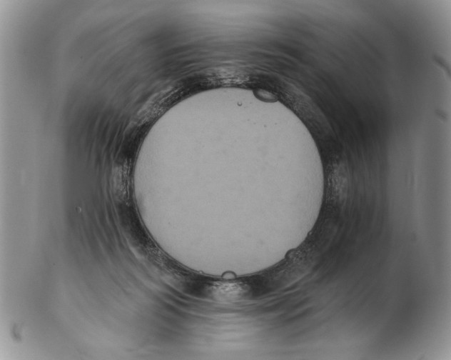 X0000102240218200808221338