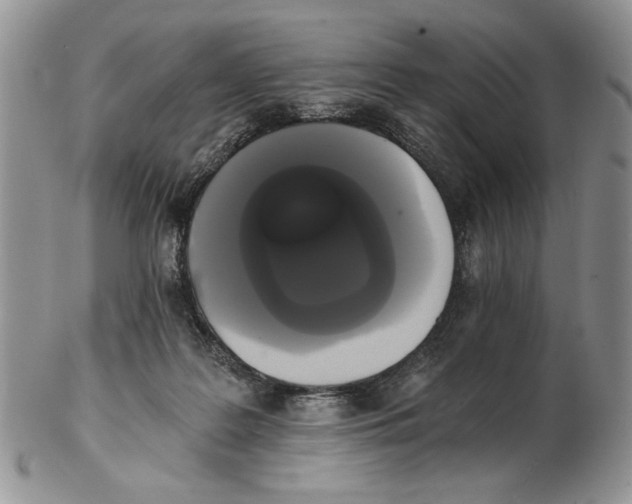 X0000102240219200808221338