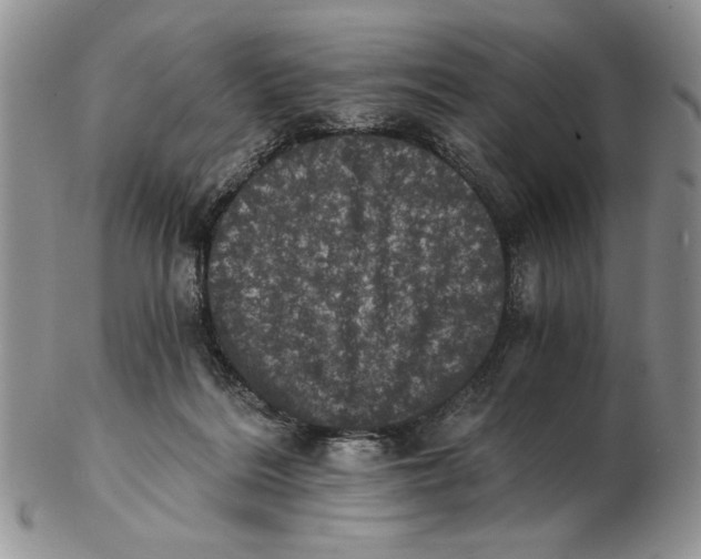 X0000102240220200808221338