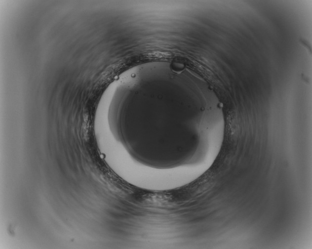 X0000102240223200808221338