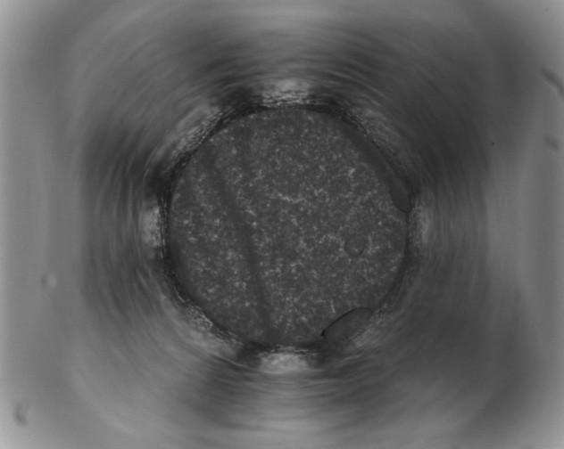 X0000102240224200808221338