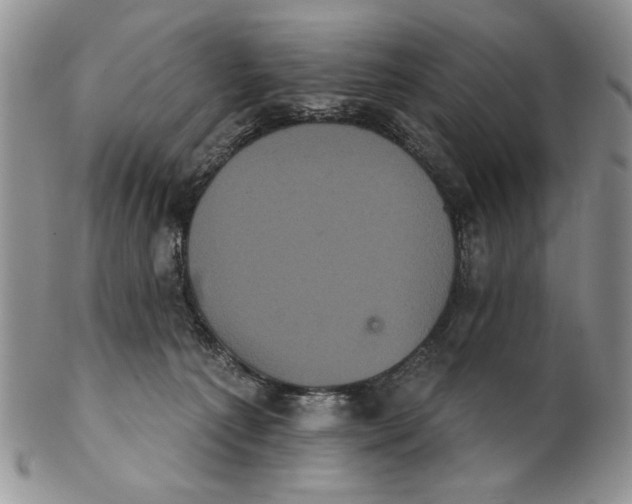 X0000102240225200808221337