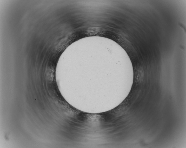 X0000102240226200808221337