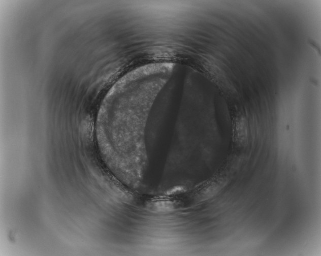 X0000102240228200808221337