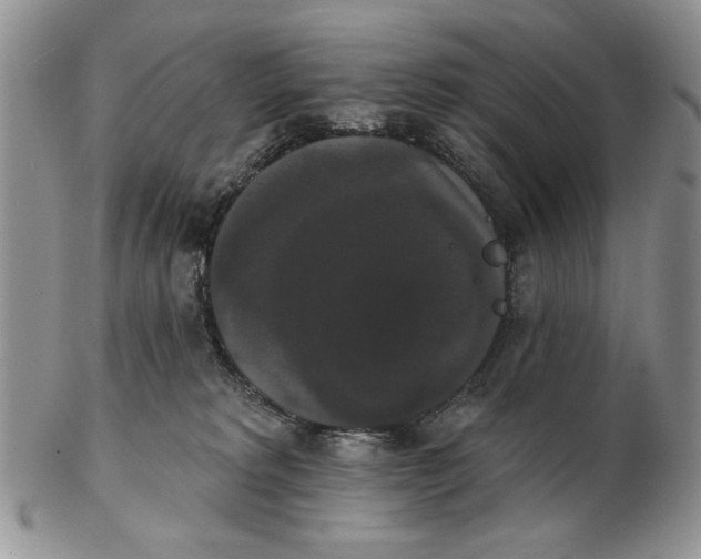 X0000102240229200808221337