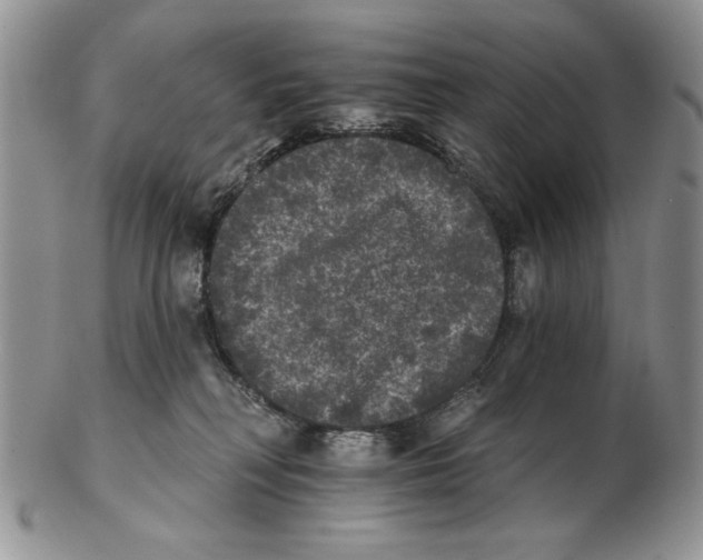 X0000102240230200808221337