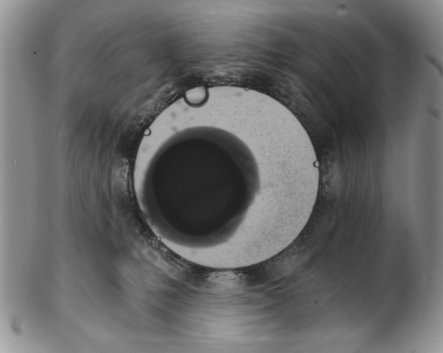 X0000102240231200808221337