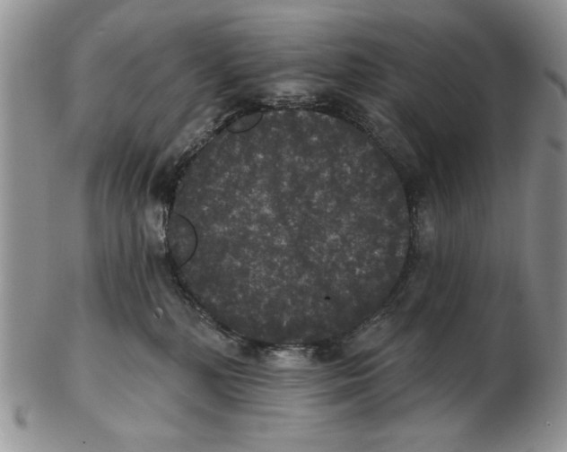 X0000102240232200808221337