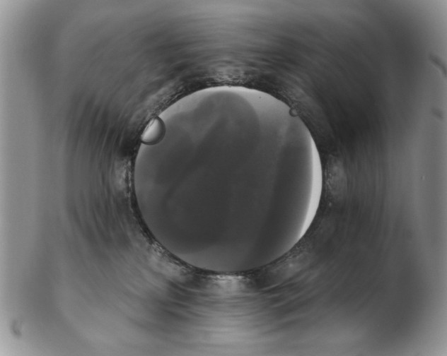 X0000102240233200808221337