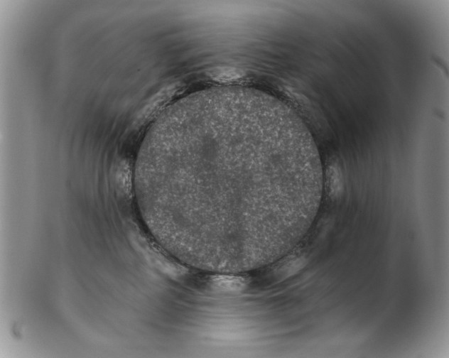 X0000102240234200808221337