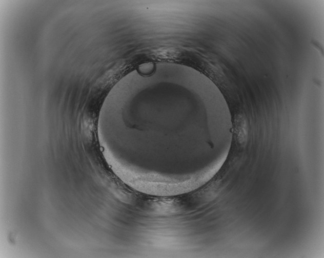 X0000102240235200808221337