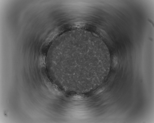 X0000102240236200808221337