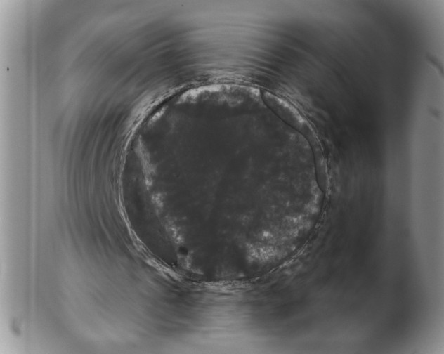 X0000102240241200808221337