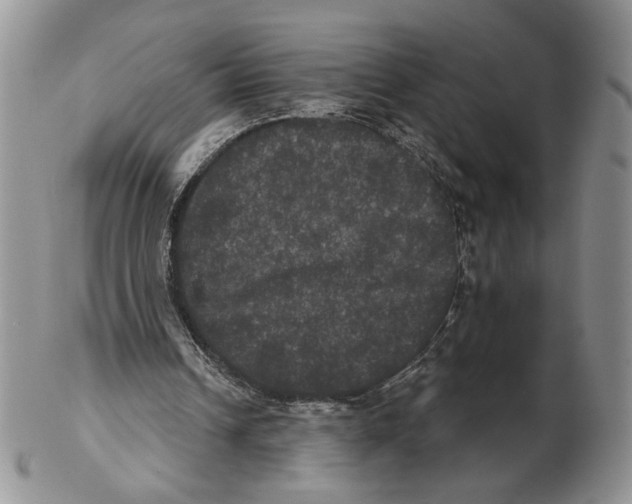 X0000102240242200808221337