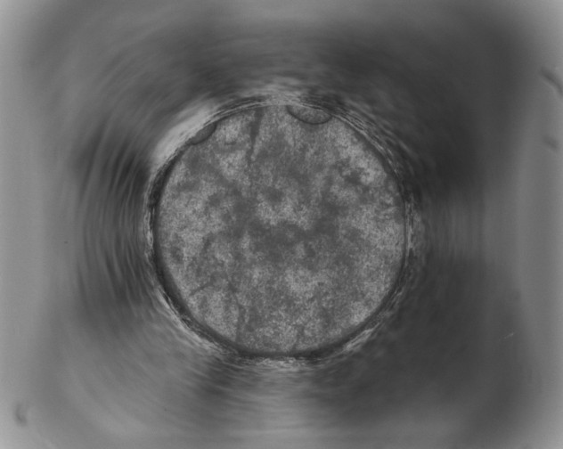 X0000102240245200808221337