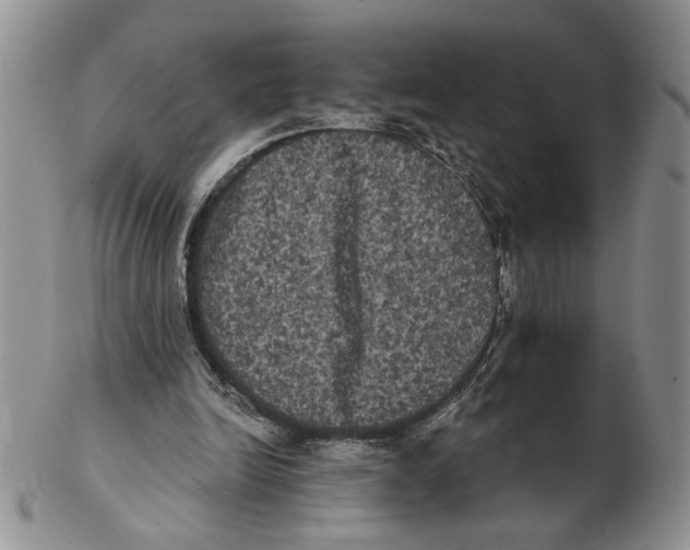 X0000102240246200808221337