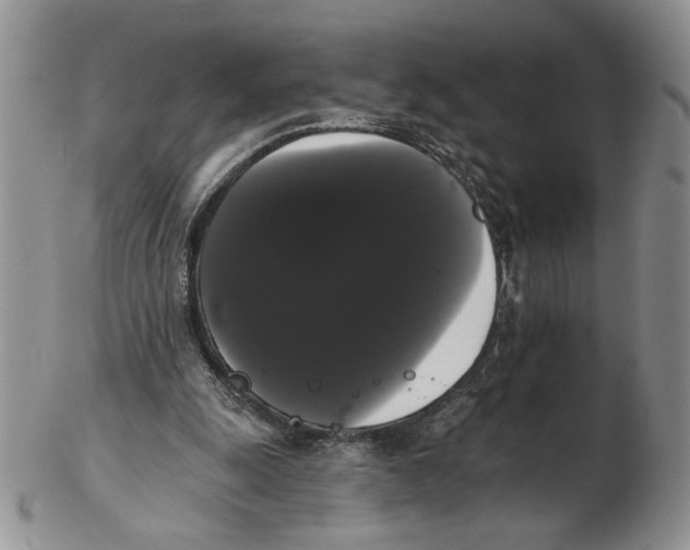 X0000102240247200808221337