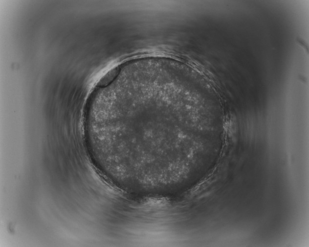 X0000102240248200808221337