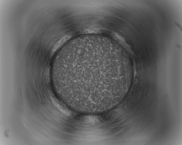 X0000102240250200808221337