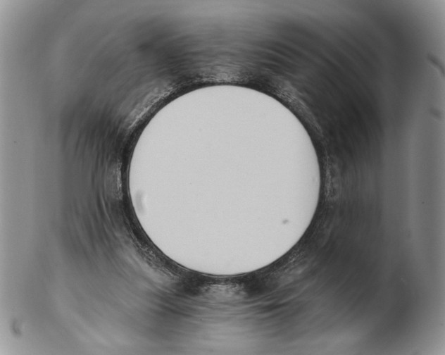 X0000102240251200808221337