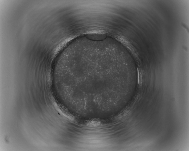 X0000102240252200808221337