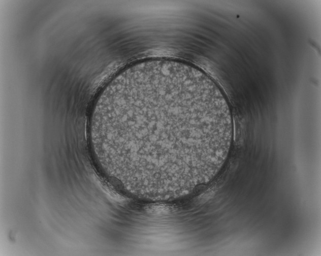 X0000102240253200808221337