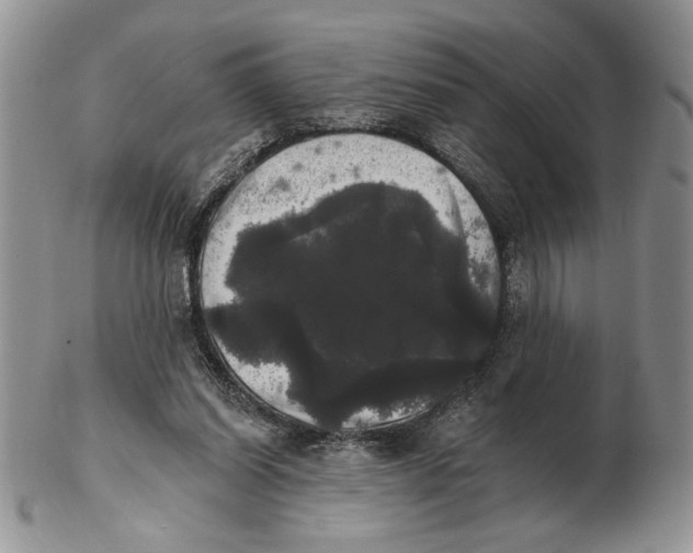 X0000102240254200808221337