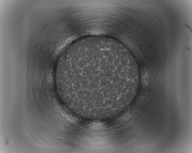 X0000102240256200808221337