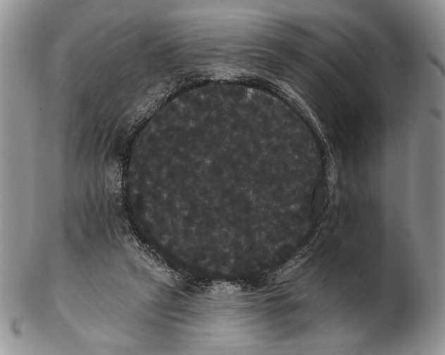 X0000102240257200808221337