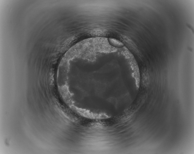 X0000102240259200808221337