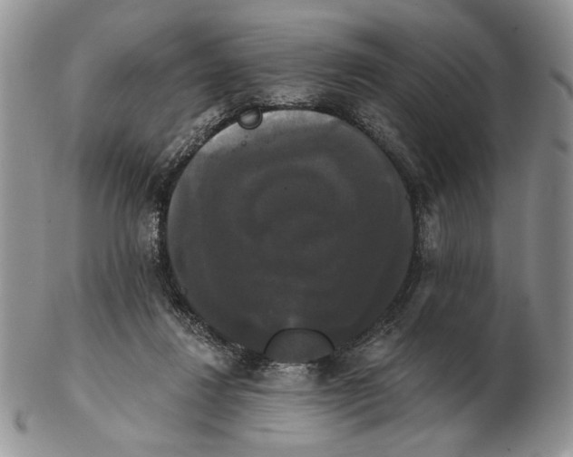 X0000102240260200808221337