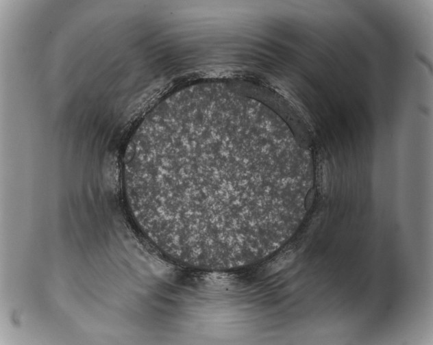 X0000102240261200808221337