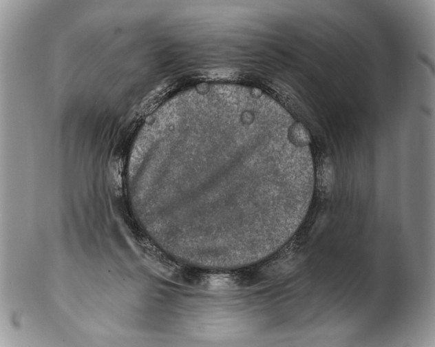 X0000102240264200808221337