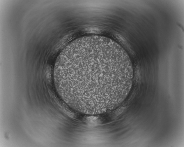 X0000102240265200808221337