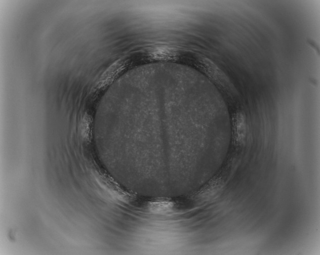 X0000102240266200808221337