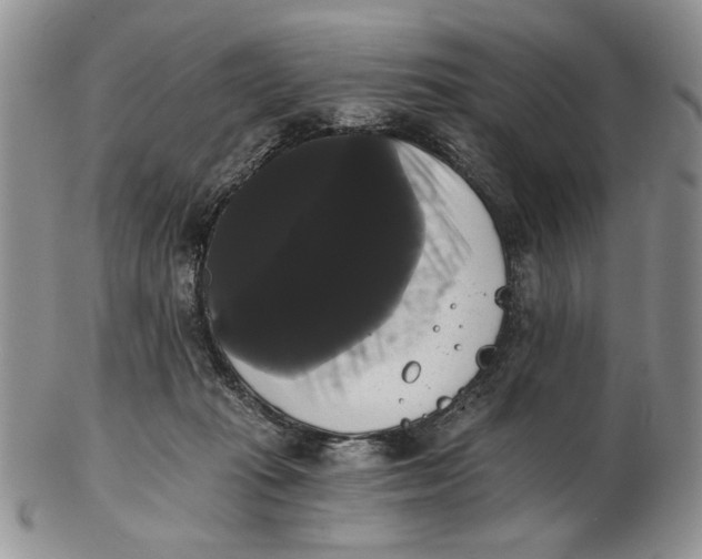 X0000102240269200808221337