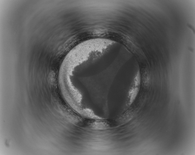 X0000102240270200808221337