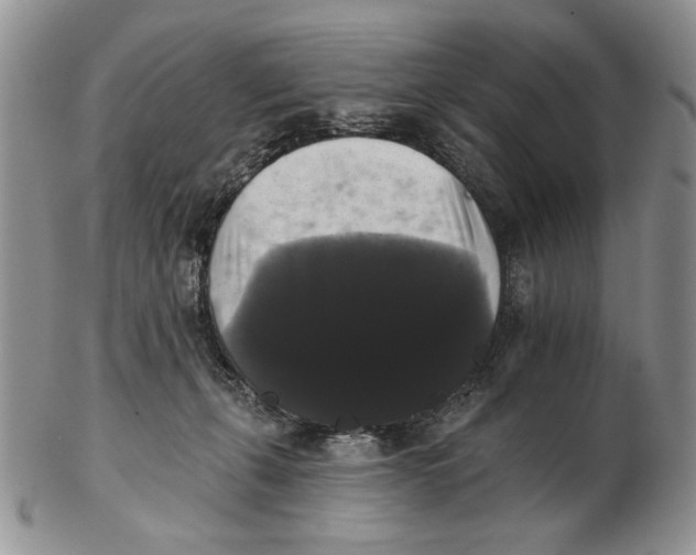 X0000102240271200808221337