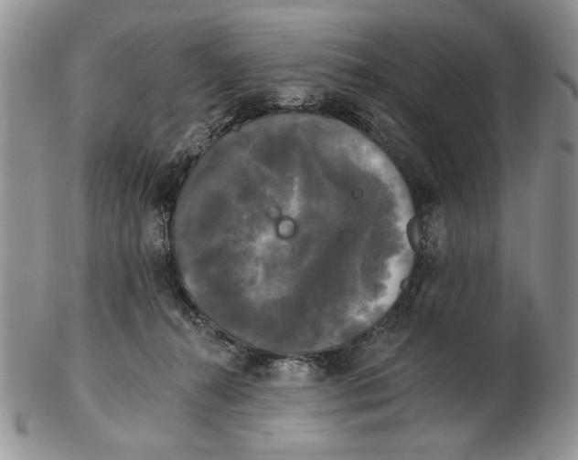 X0000102240272200808221337