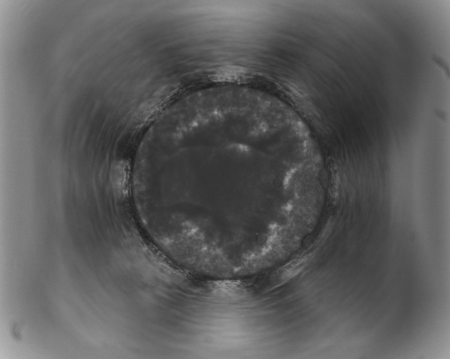 X0000102240273200808221337