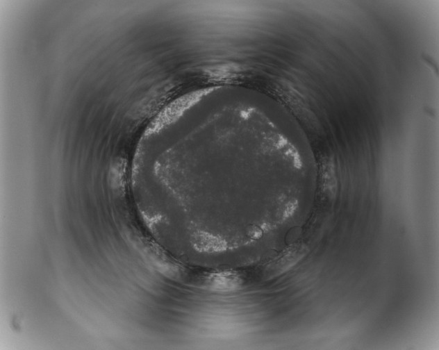 X0000102240275200808221337