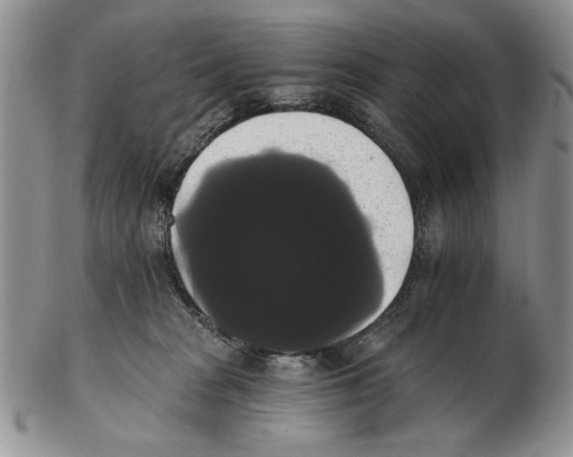 X0000102240277200808221337