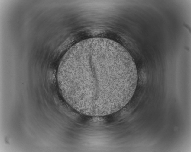 X0000102240278200808221337