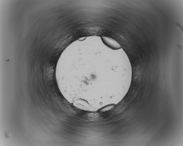 X0000102240279200808221337