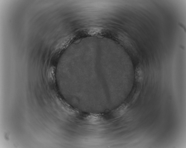 X0000102240280200808221337