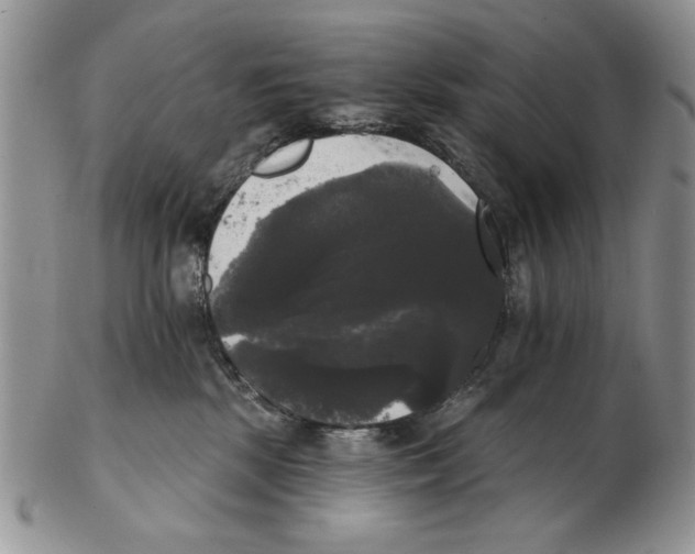 X0000102240281200808221337