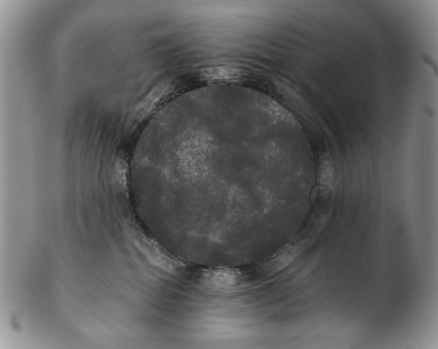 X0000102240282200808221337