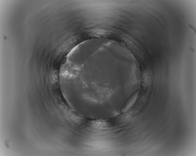 X0000102240284200808221337