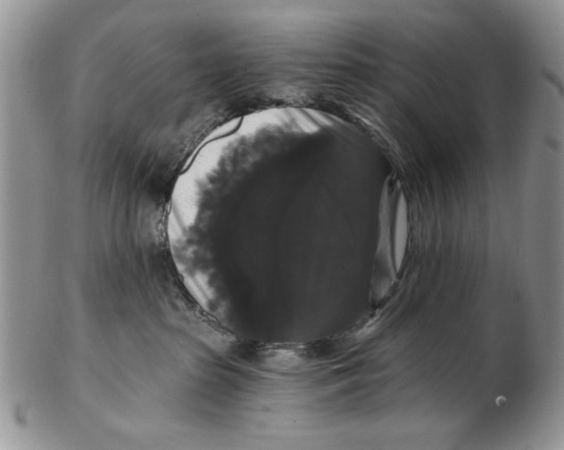 X0000102240285200808221337