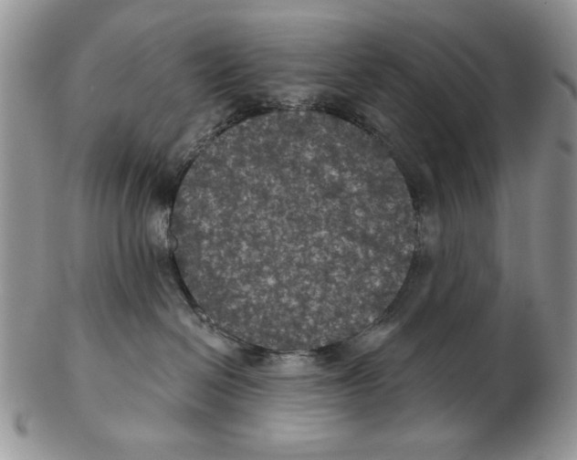 X0000102240286200808221337